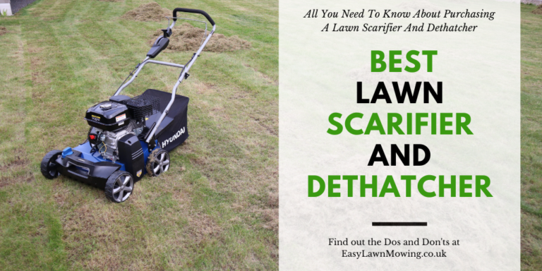 Best Lawn Scarifier And Dethatcher Reviews