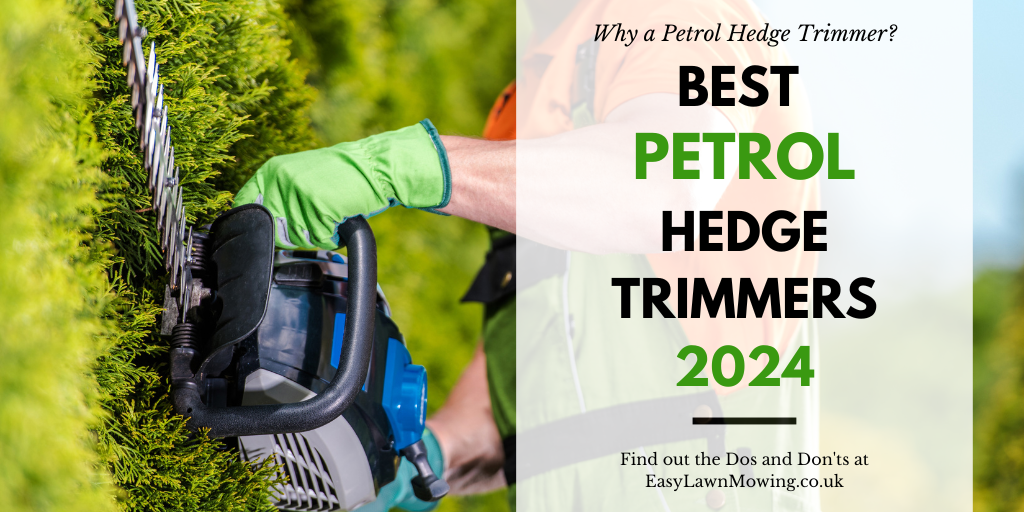 Best Petrol Hedge Trimmers