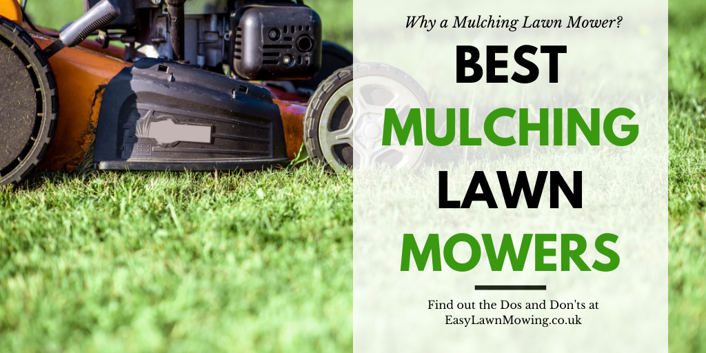 Best Mulching Lawn Mower