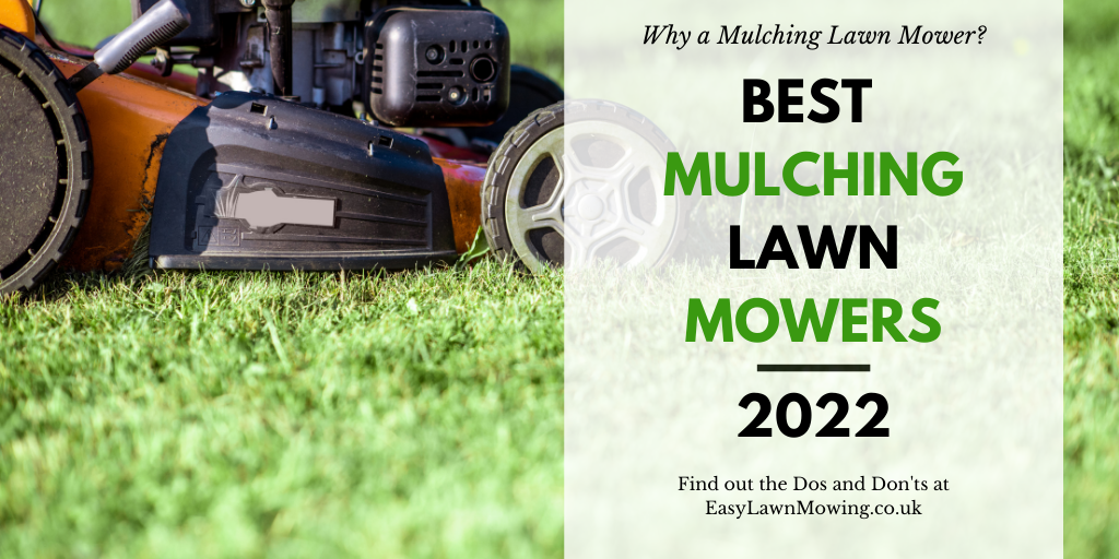 Best Mulching Lawn Mower