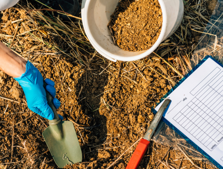 DIY Lawn Soil Testing