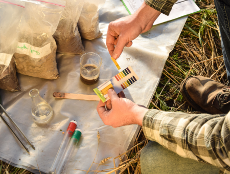 Home Testing Methods for Soil Conditions
