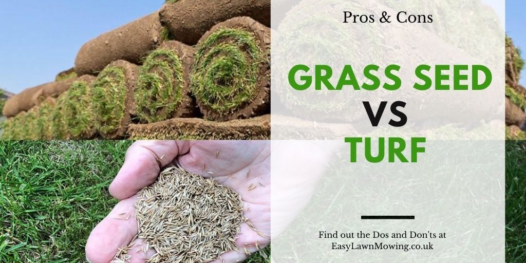 Grass Seed vs Turf