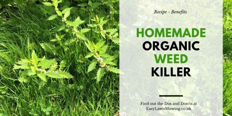 Homemade Organic Weed Killer
