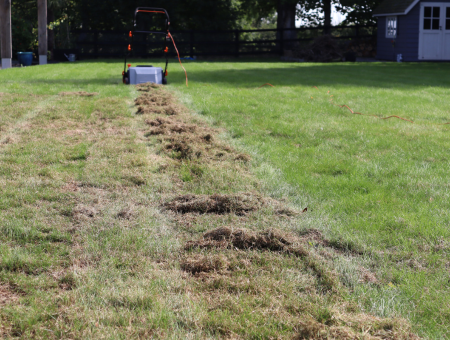 Lawn Care After Aeration