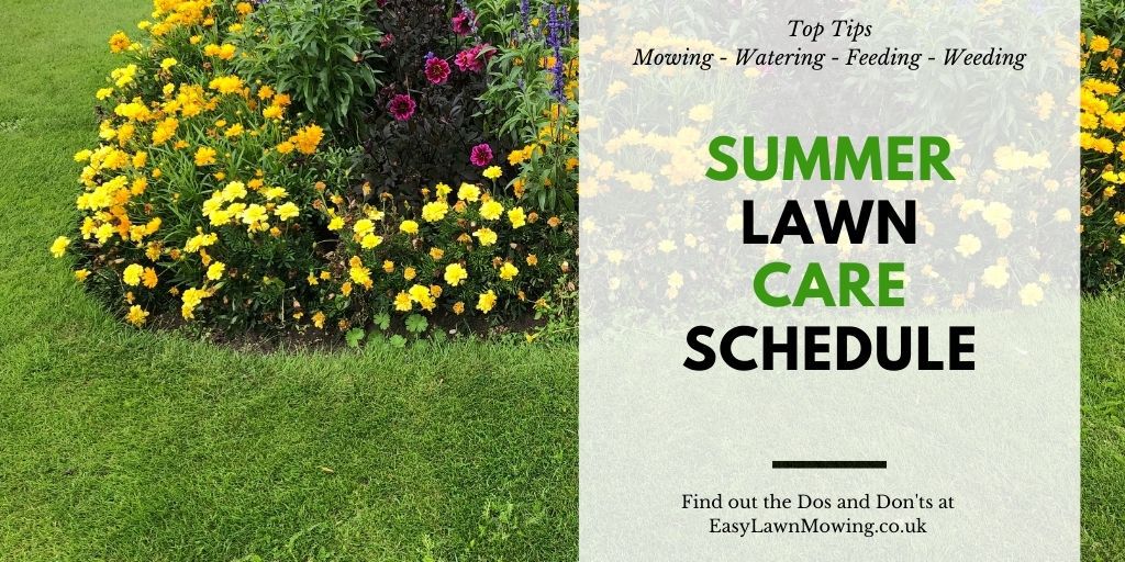 Summer Lawn Care Schedule