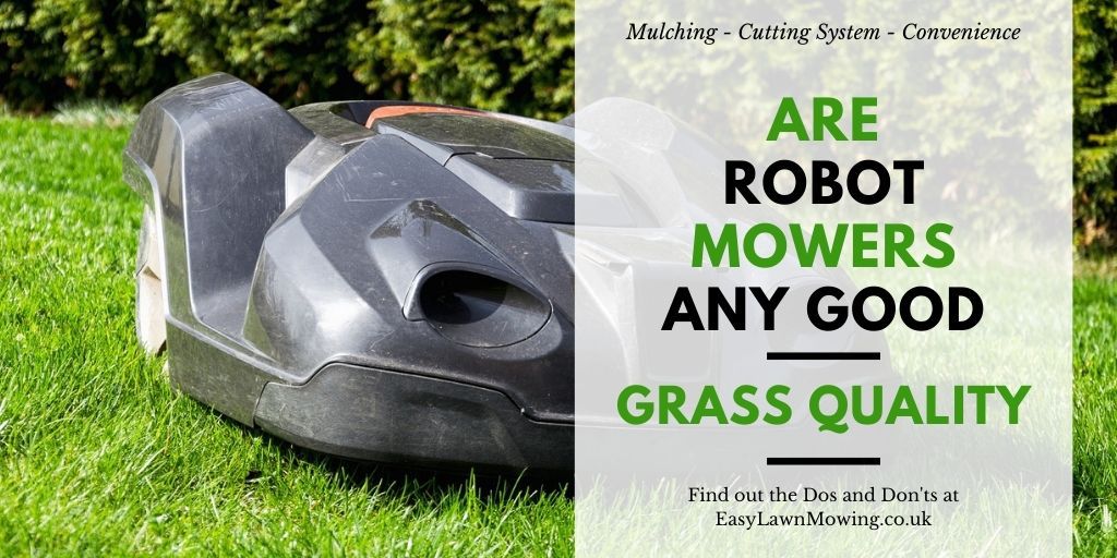 Are Robot Mowers Any Good – Grass Quality