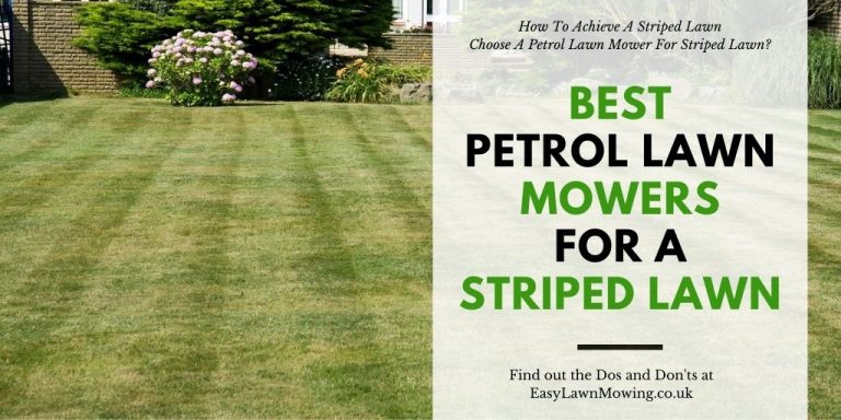 Best Petrol Lawn Mowers For A Striped Lawn