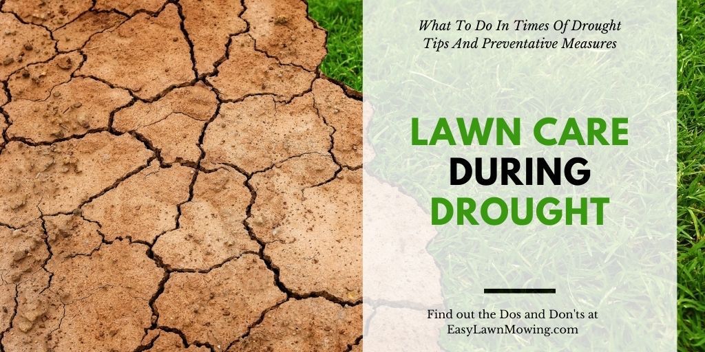 Lawn Care During Drought