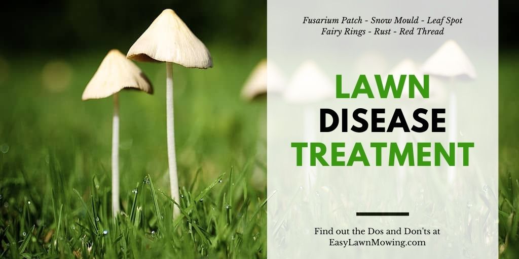 Lawn Disease Treatment