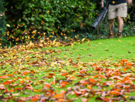 What’s The Difference Between A Leaf Blower And A Leaf Vacuum
