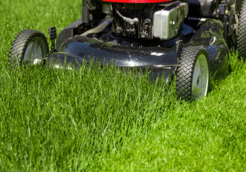 Best Lawn Mower for Large Lawns Mower Conclusion