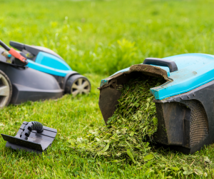 Cordless Lawn Mower Mulching Plug