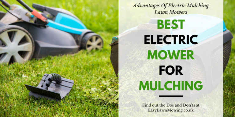 Best Electric Mower For Mulching The Lawn