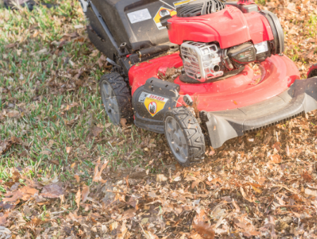 Best Lawn Mower For Collecting Leaves