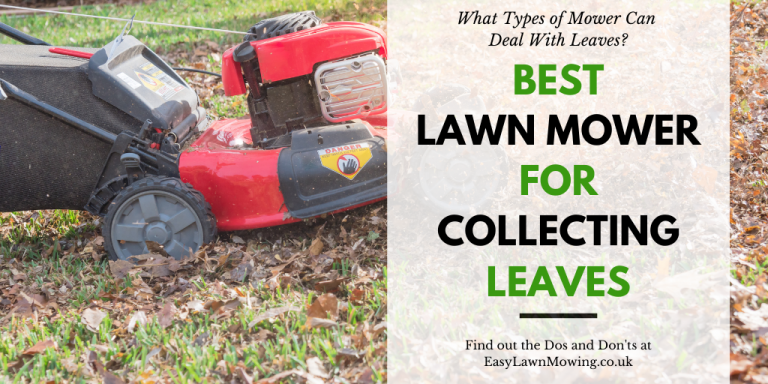 Best Lawn Mower For Collecting Leaves