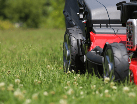 Best Petrol Mower with Side and Rear Discharge