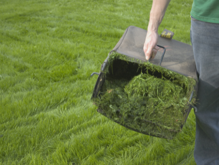 Consider How You Will Dispose Of The Grass Clippings