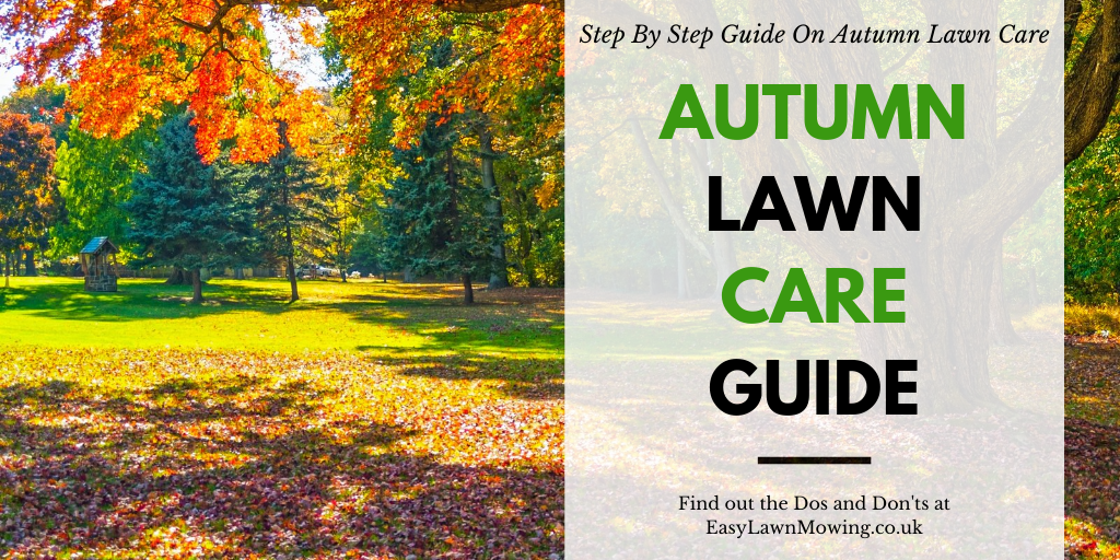Autumn Lawn Care Guide