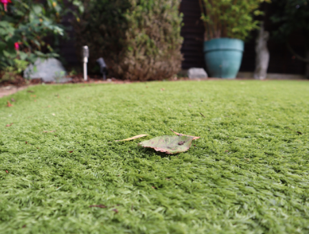 Cleaning a Small Artificial Lawns