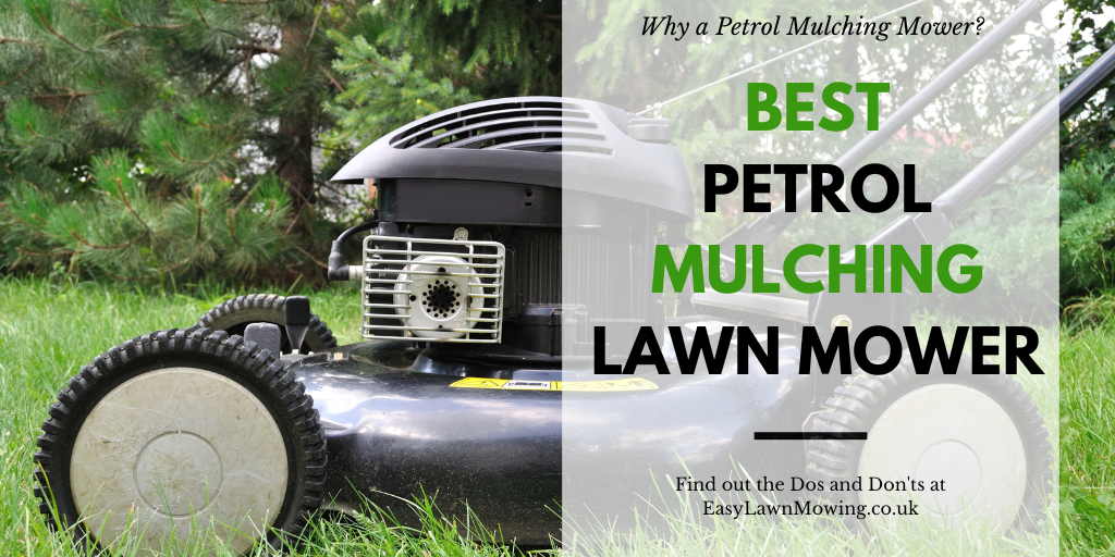 Best Petrol Mulching Lawn Mower