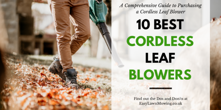 10 Best Cordless Leaf Blowers