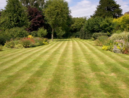 Will You Want To Have Stripes On Your Lawn