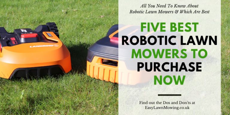 Five Best Robotic Lawn Mowers To Purchase Now (1)