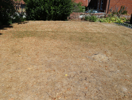 Caring For Your Lawn In Hot Weather And Drought