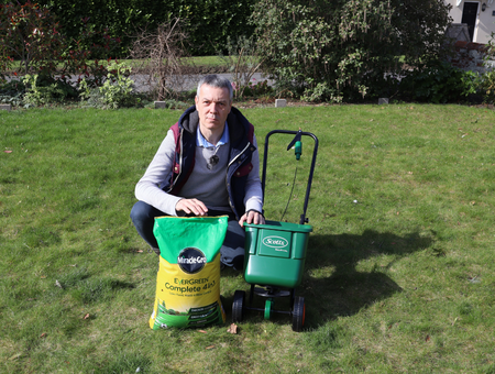 Feed The Lawn Properly The Drought Period