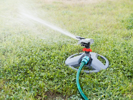 How To Take Care Of Your Lawn During Drought