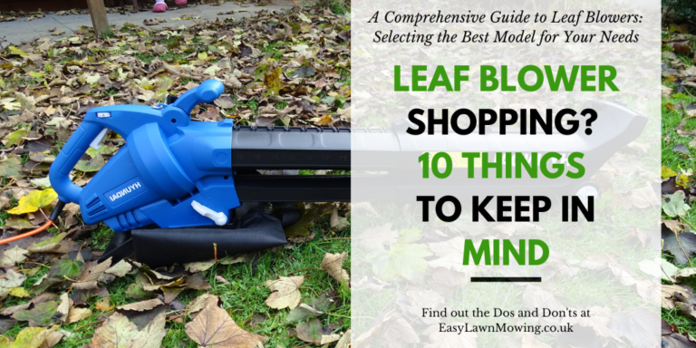 Leaf Blower Shopping - 10 Things to Keep in Mind