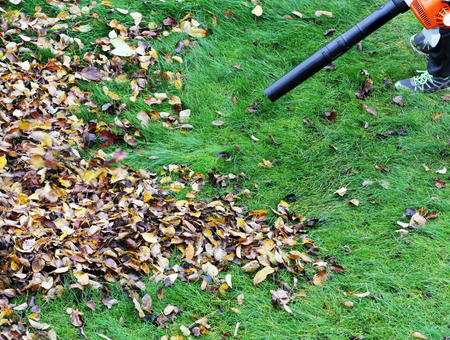 What Type Of Power Is Best For A Leaf Blower