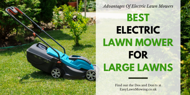 Best Electric Mower for Large Lawns
