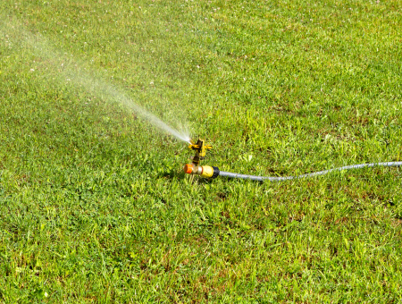 Best Time to Water the Lawn UK