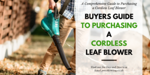 Buyers Guide To Purchasing a Cordless Leaf Blower