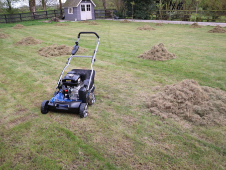 Getting lawn ready for spring